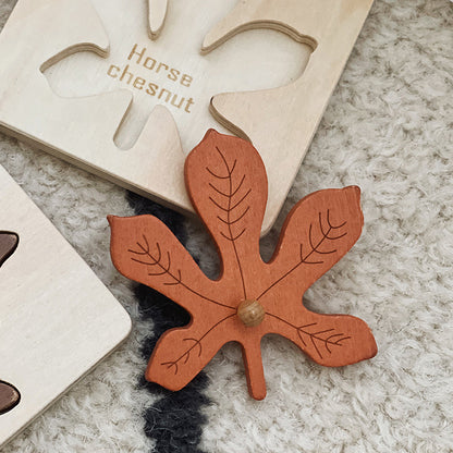 Montessori-Inspired Leaf Puzzle for Early Learning